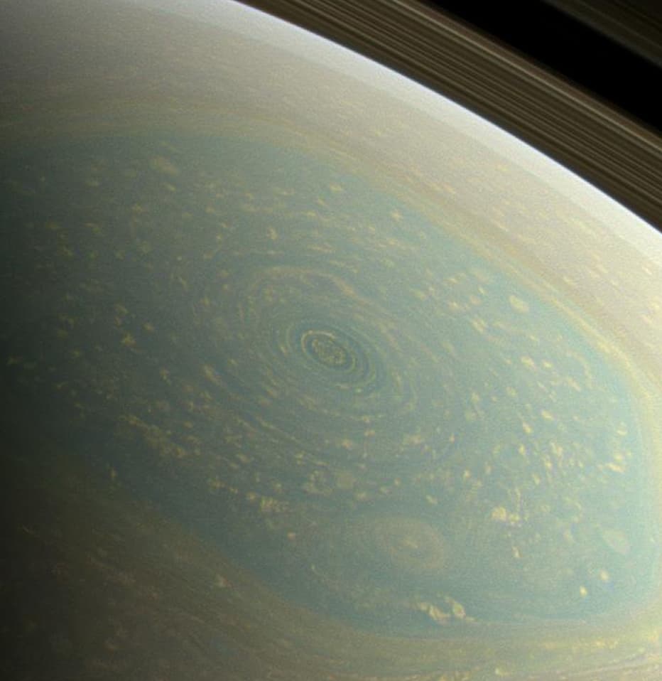 rose storm on saturn